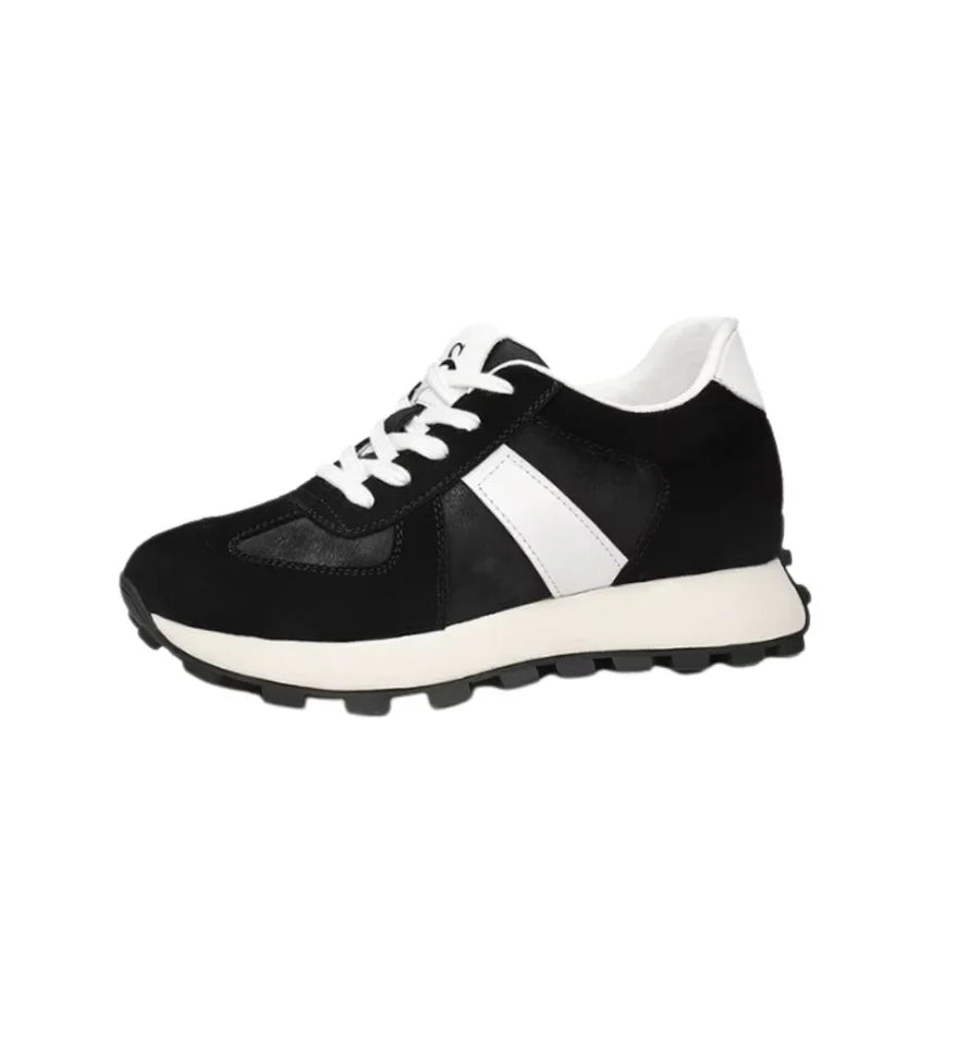 Alexander - Alturion